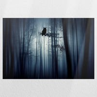 PO-030W020