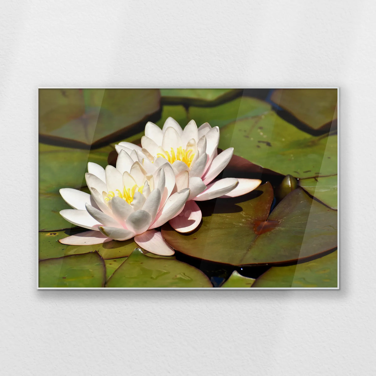 PS-120W080
