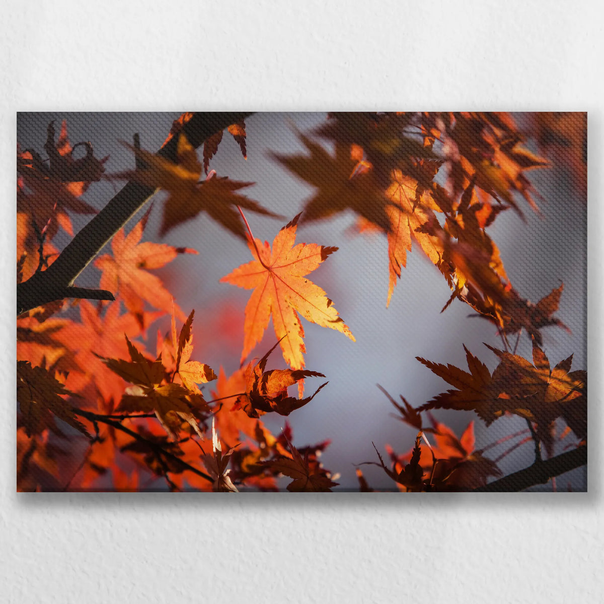 LW-030W020