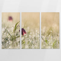 AC-180R120
