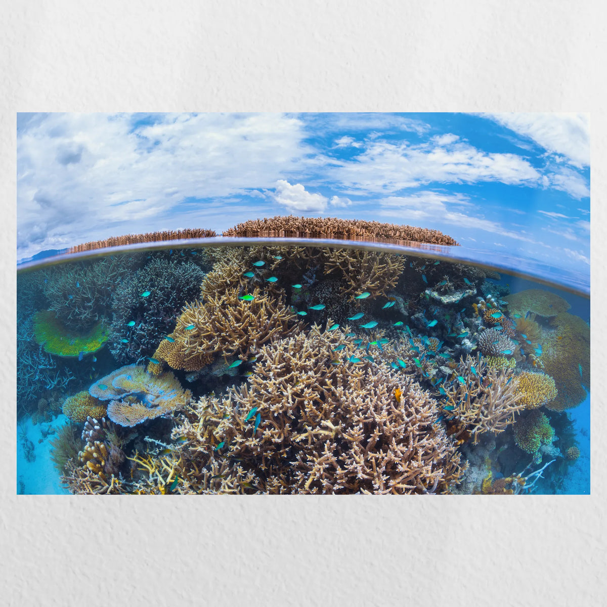 PO-045W030