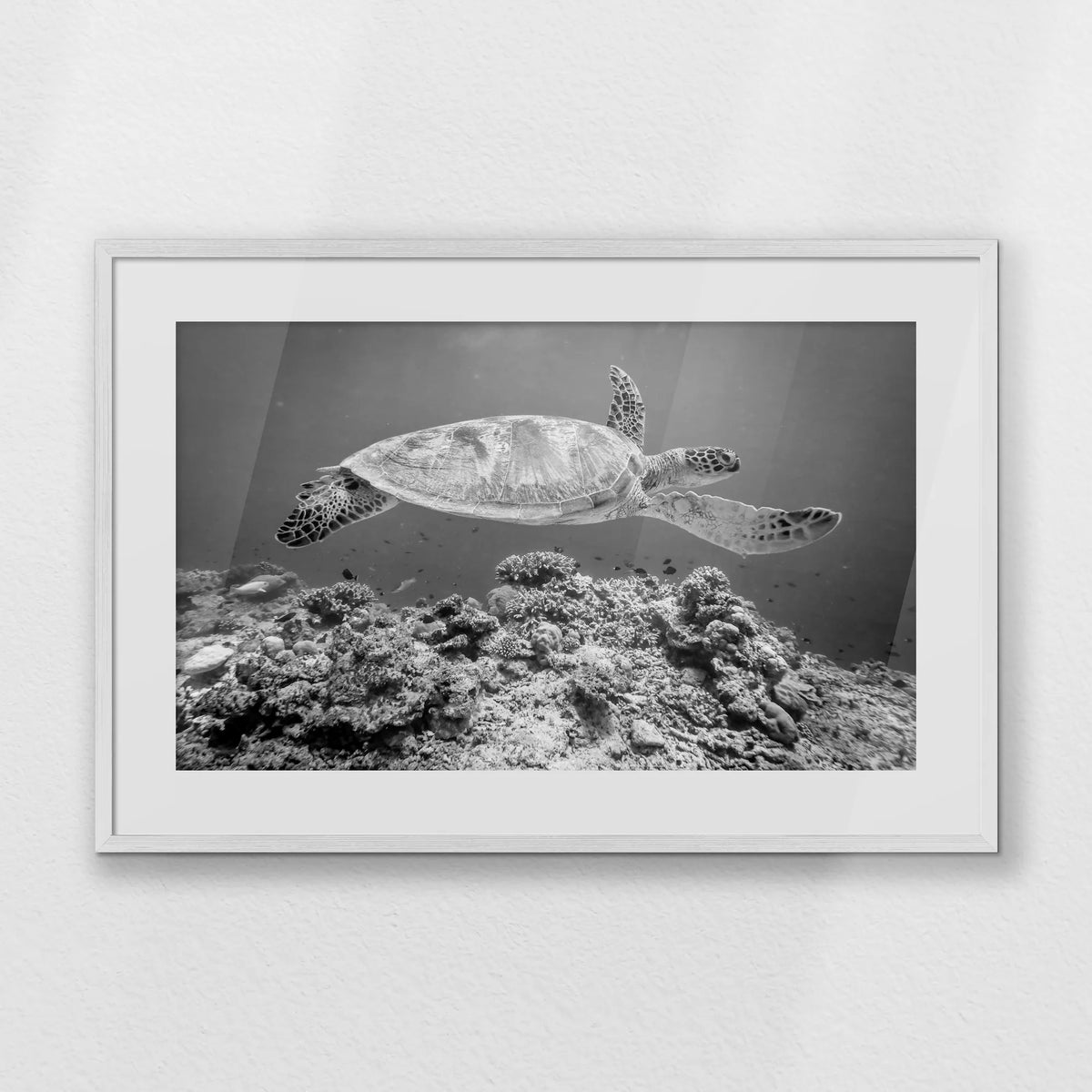 PWP093W062