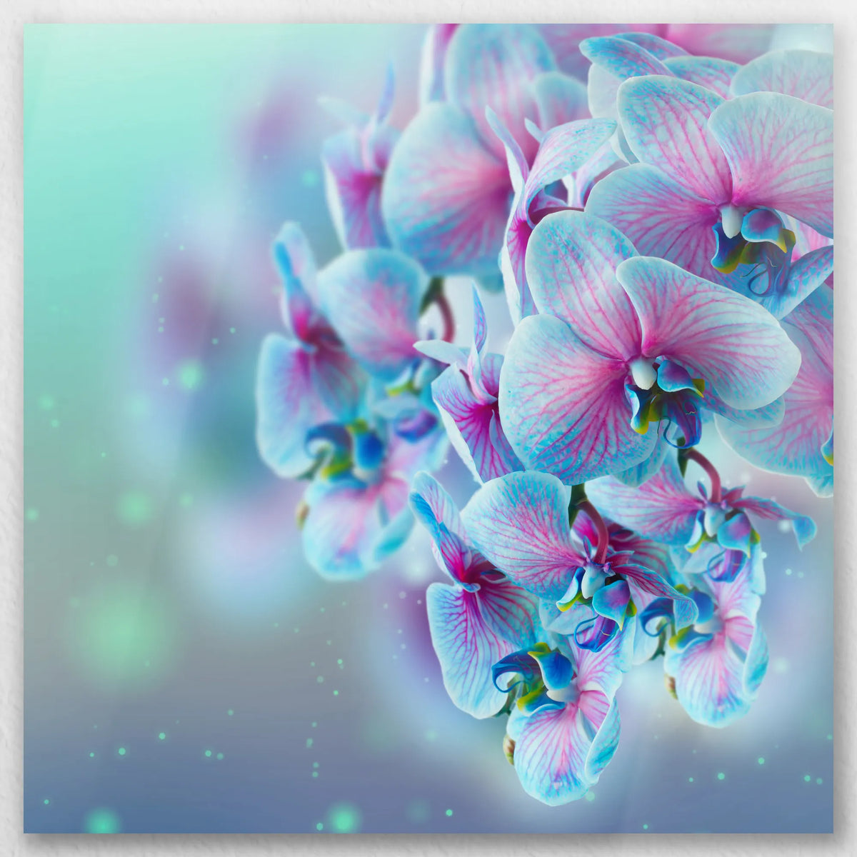 AL-030W030