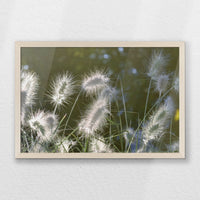 PN-060W040