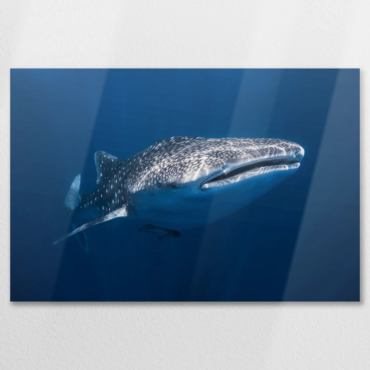 AL-090W060