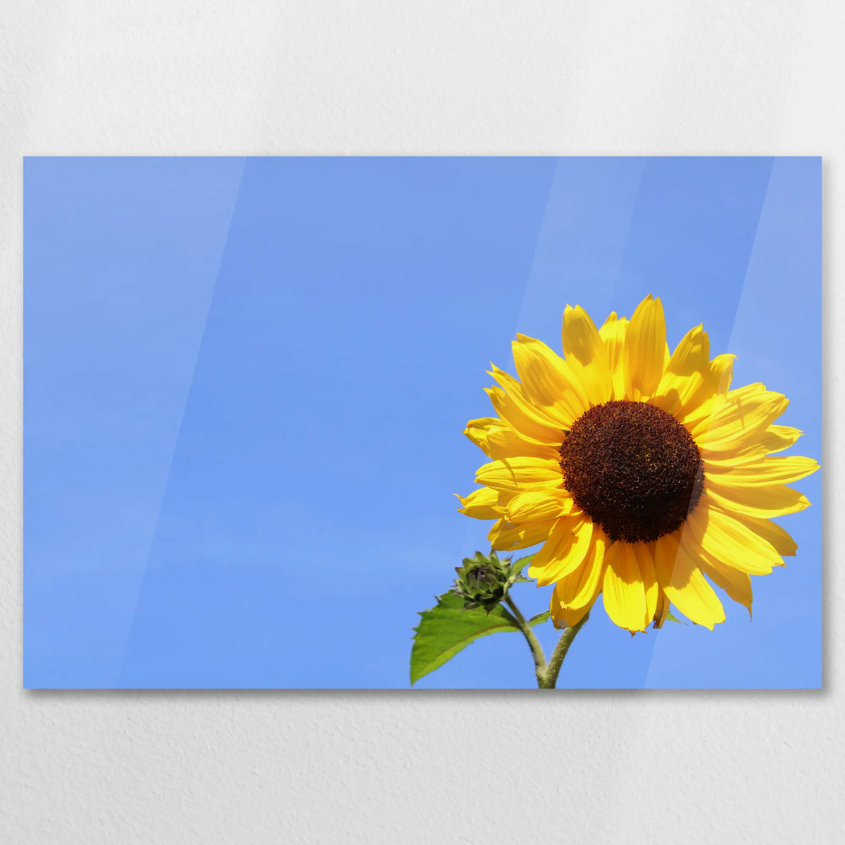 AC-075W050