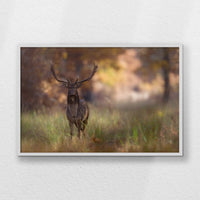 LWW100W070
