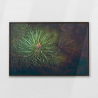 LWN120W080