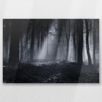 AL-030W020
