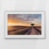 PWP100W070