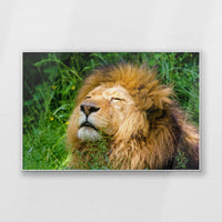 PS-120W080