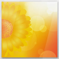 AL-060W060