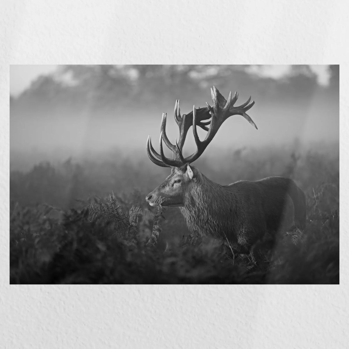 PO-030W020