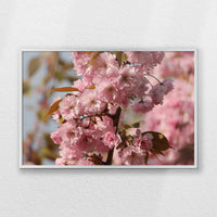 PS-060W040