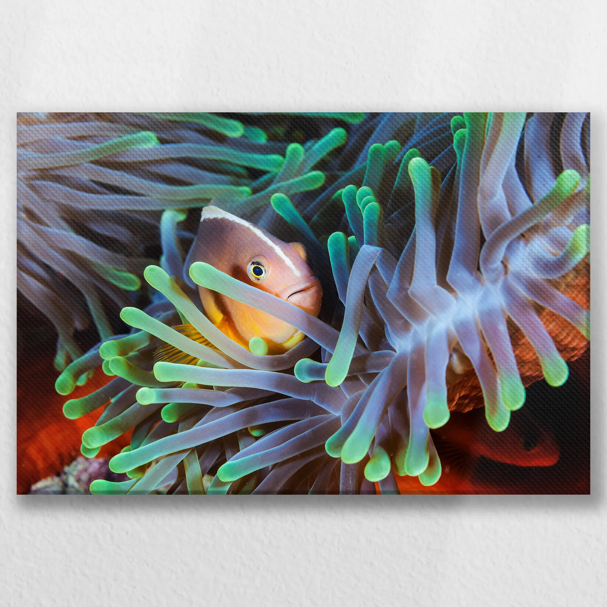 LW-045W030