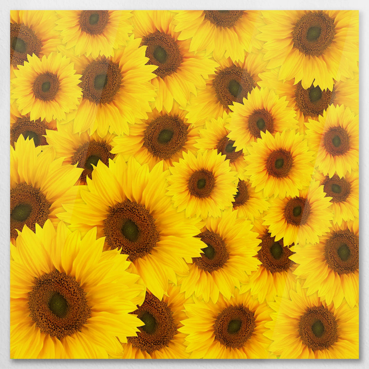 AC-090W090