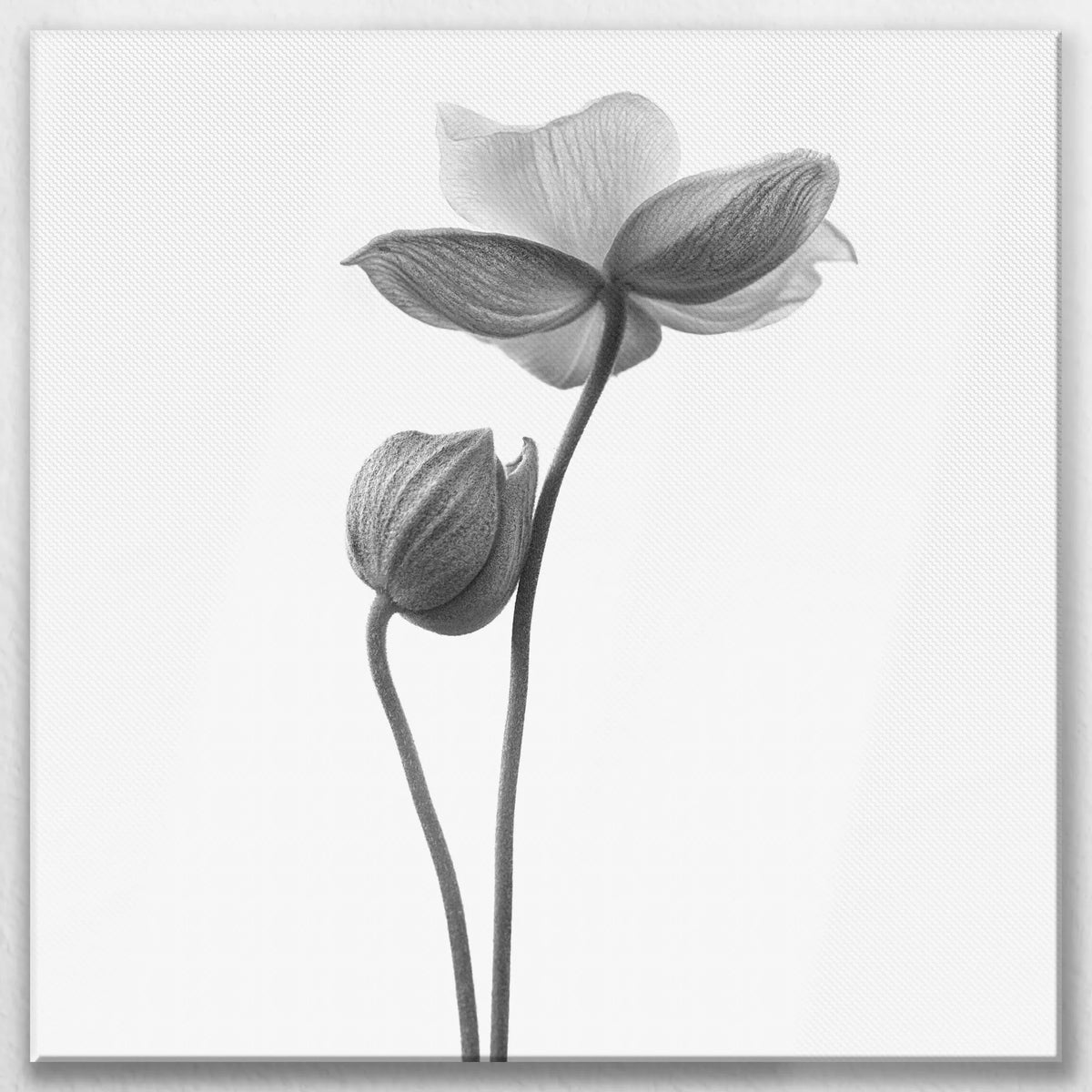 LW-090W090