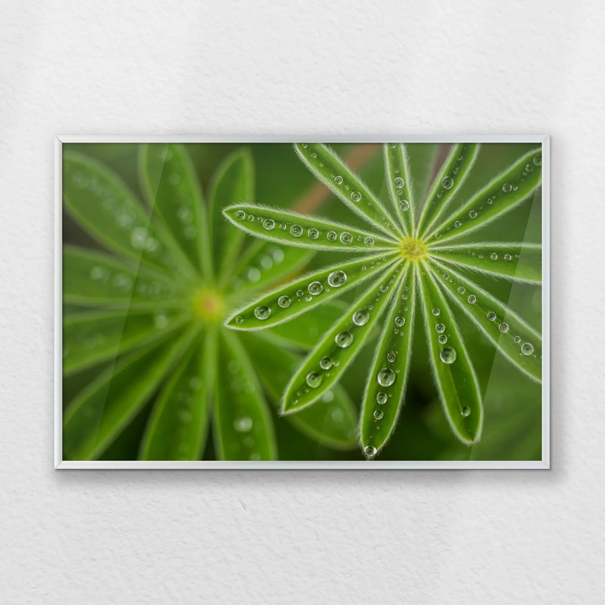 PS-060W040