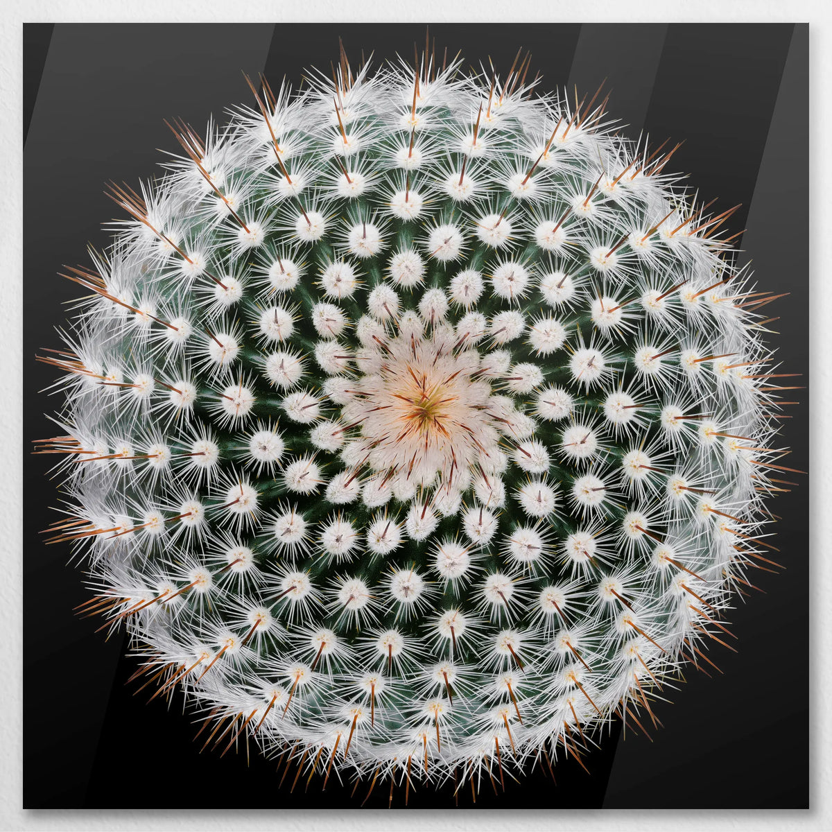 AC-080W080