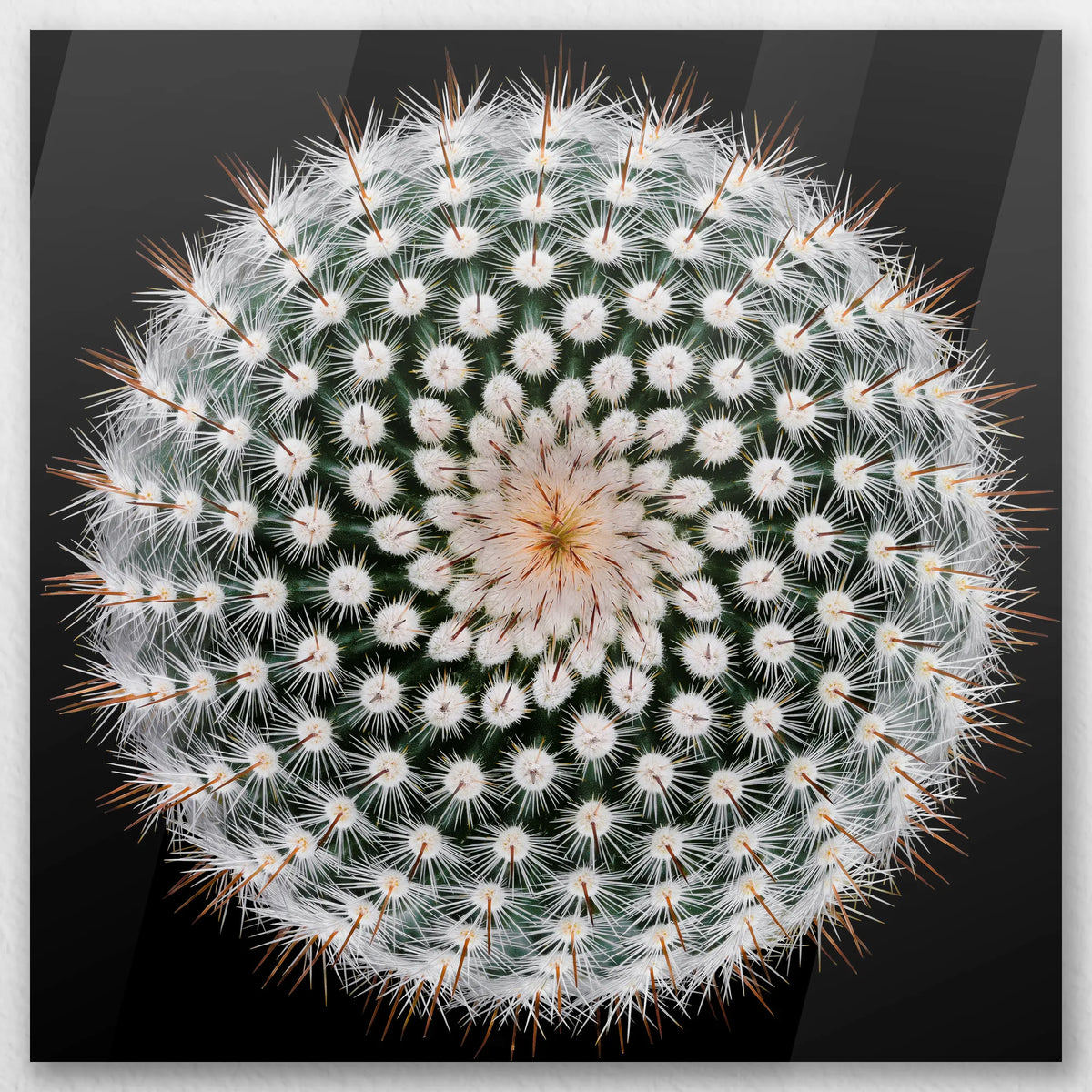 AC-040W040