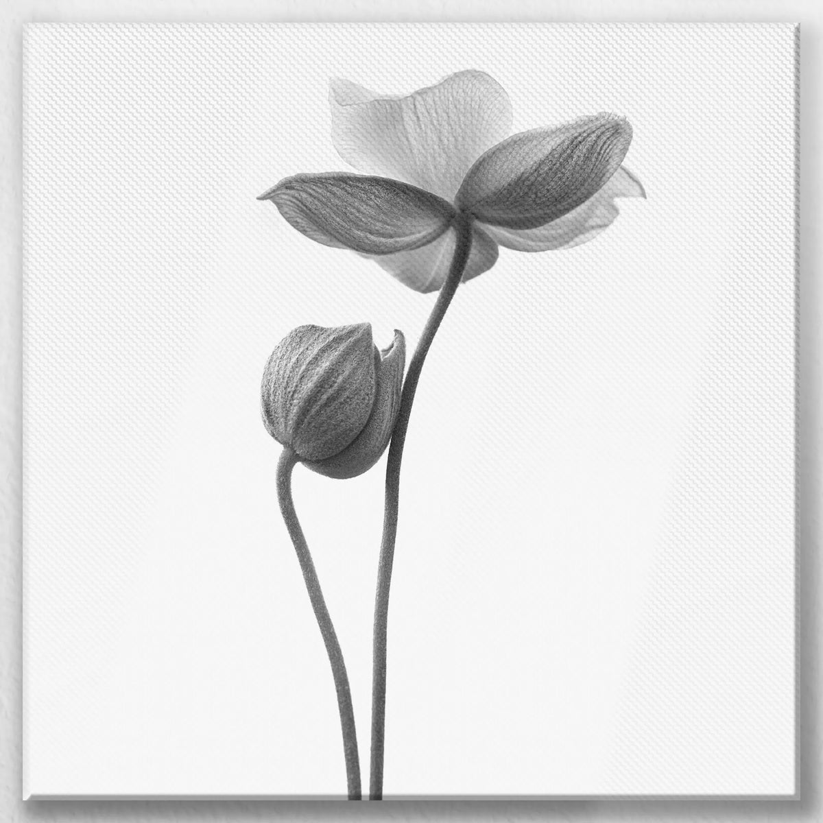 LW-040W040