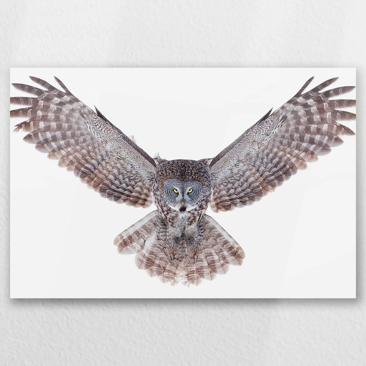 AC-030W020