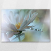 AL-060W040