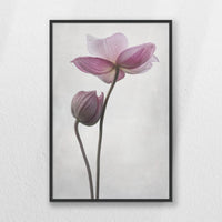 PB-040W060