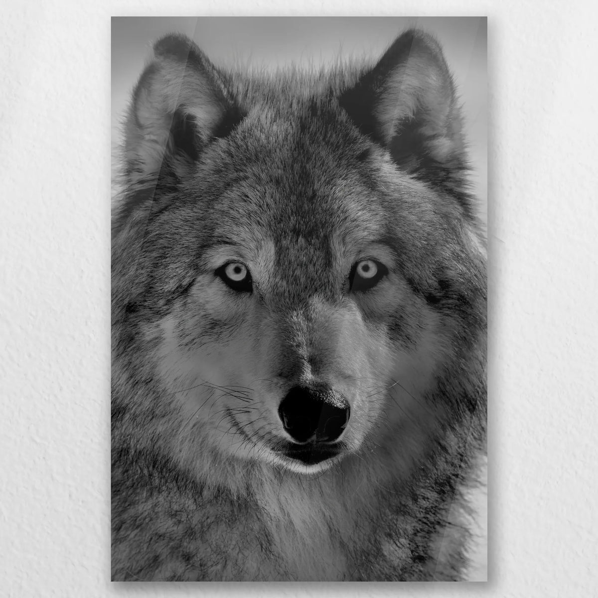 AC-050W075