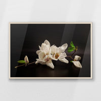 PN-093W062