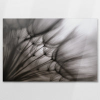 AL-075W050