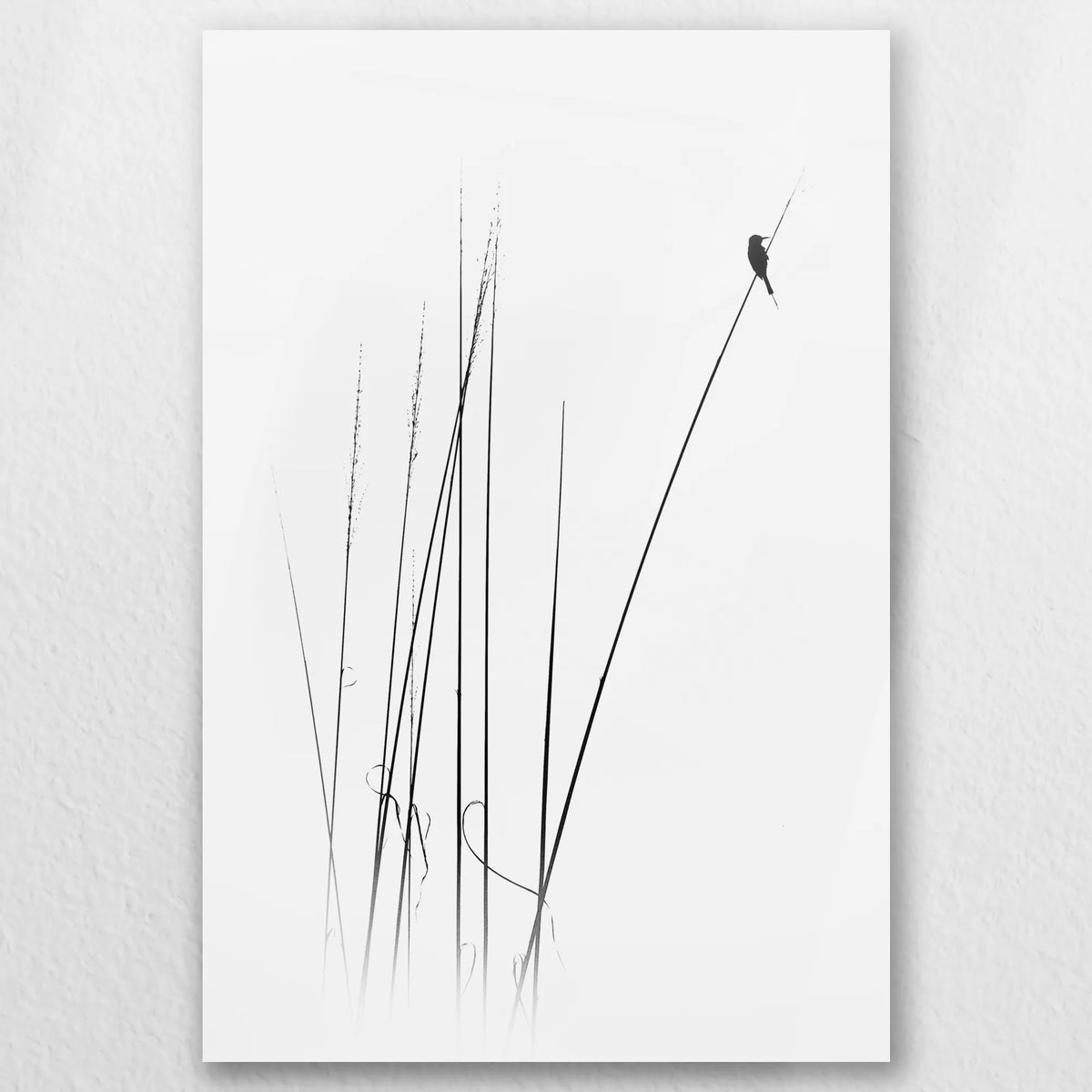 AC-050W075