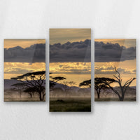 AC-060T040