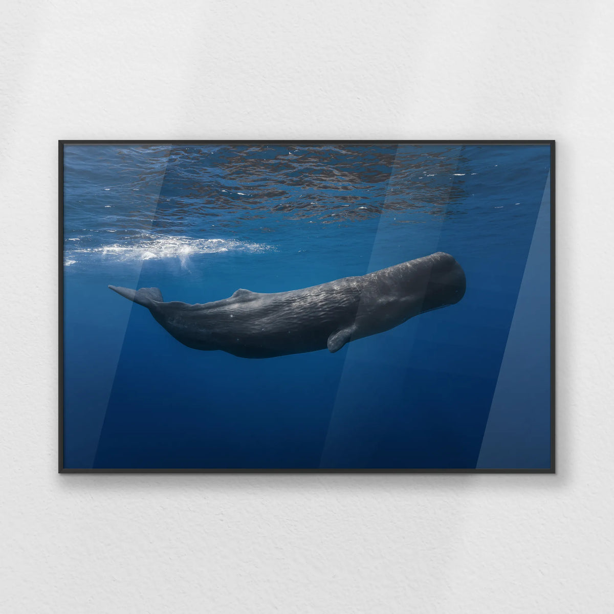 PB-093W062