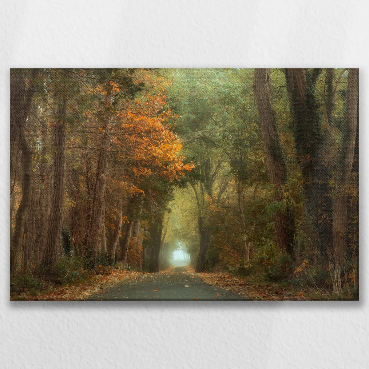 LW-075W050