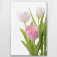 AL-040W060