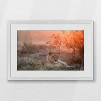 PWP060W040