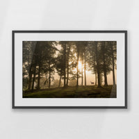 PKP093W062
