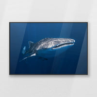 PB-093W062