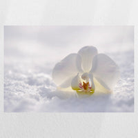 PO-045W030