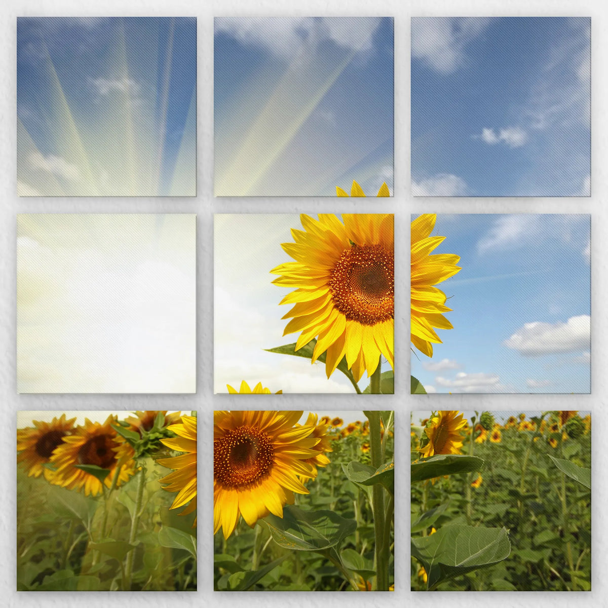 LW-210Z210