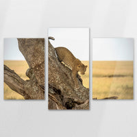 AC-150T100