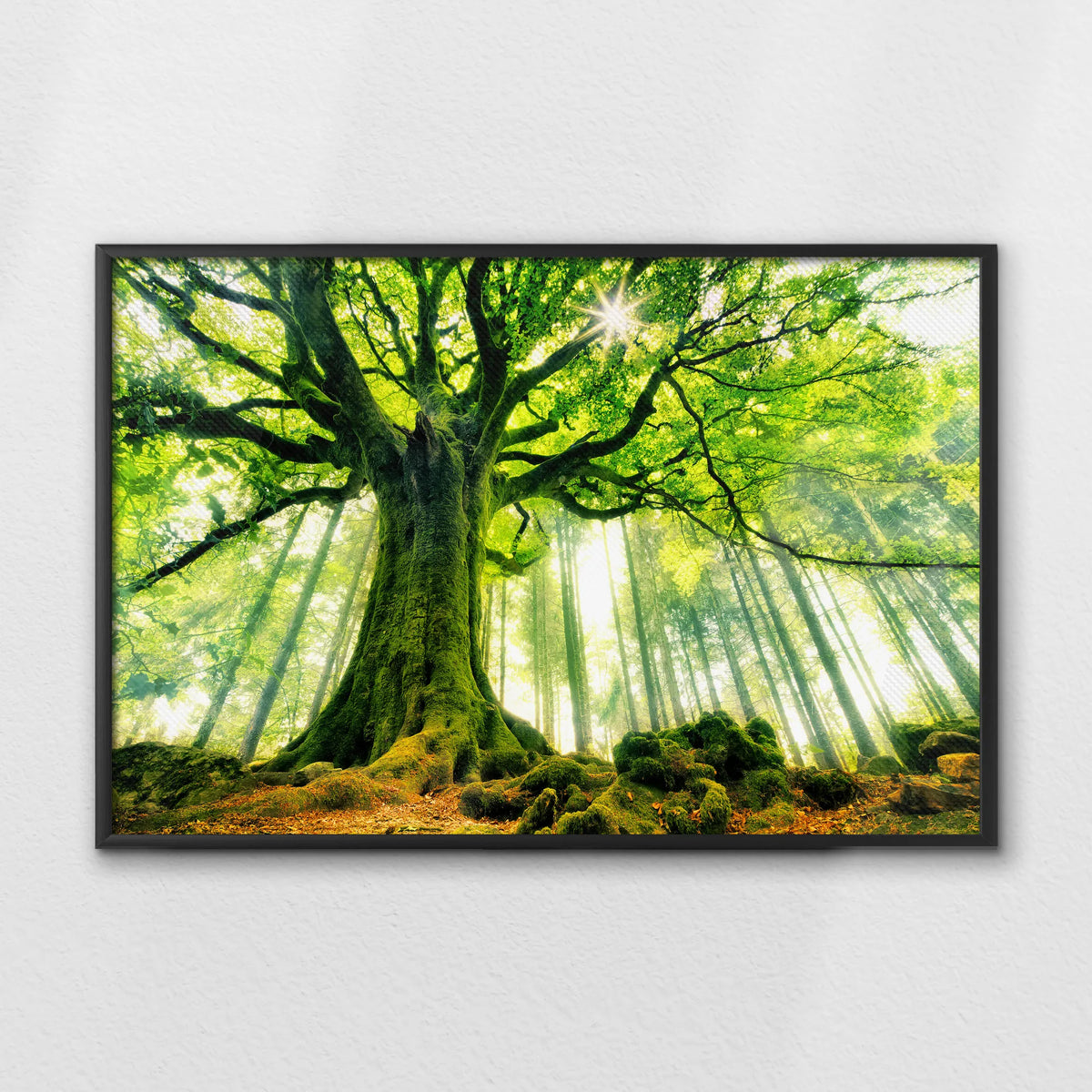 LWB100W070