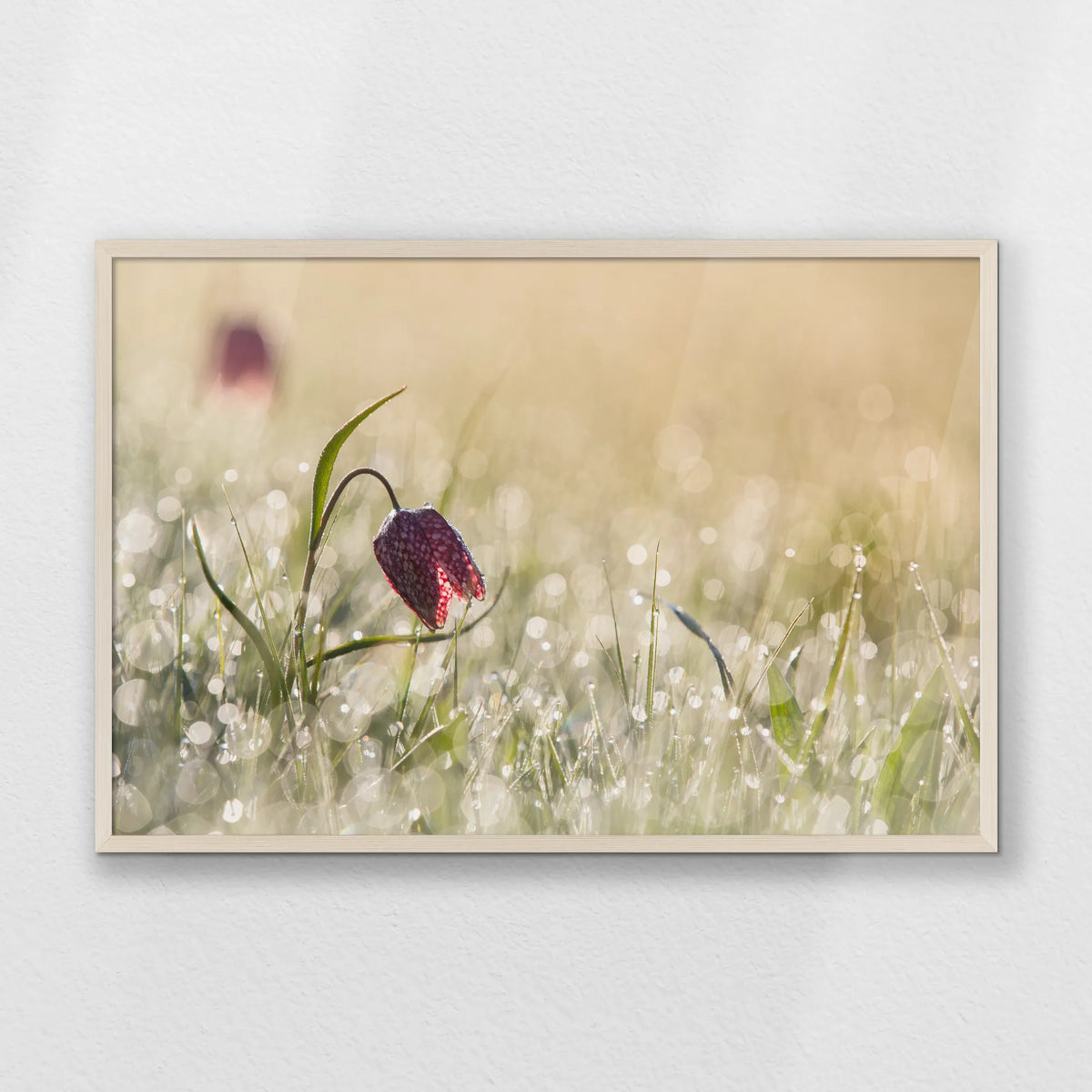 PN-093W062