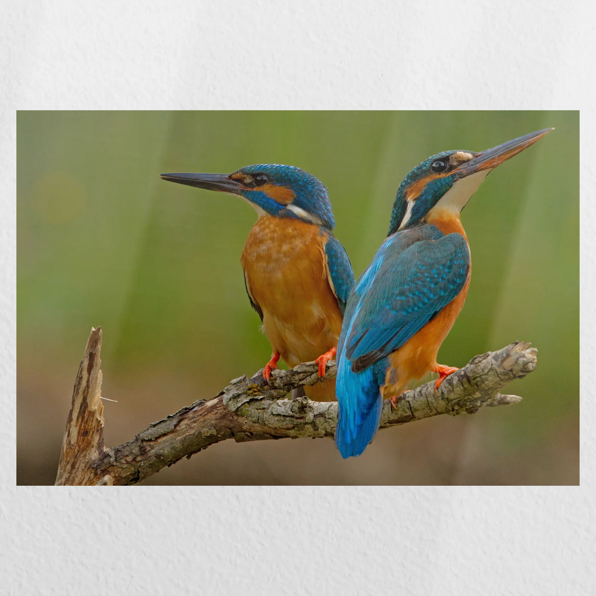 PO-030W020