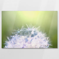 AC-075W050