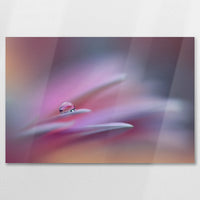 AL-075W050