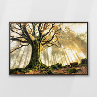 LWN120W080