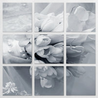 AL-210Z210