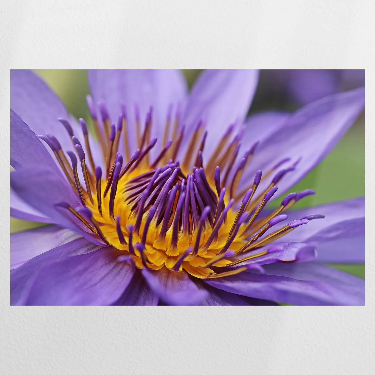 PO-120W080